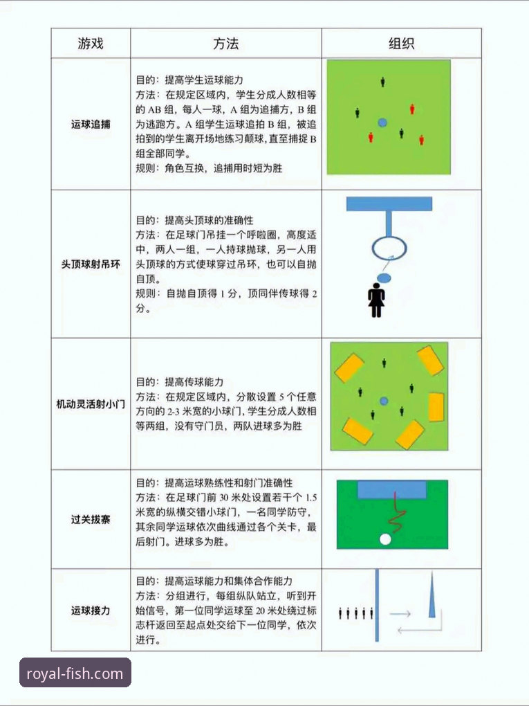 乐鱼体育功能特点必备实用指南：从新手到老手的进阶玩法