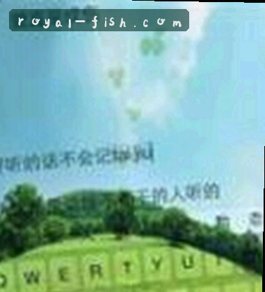 张涛